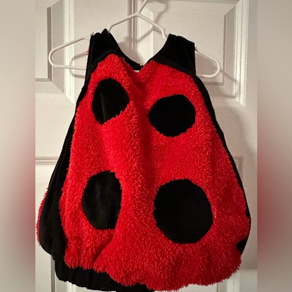 Toddler Ladybug Costume - 12 months